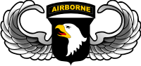 101st Airborne Wings Decal