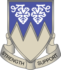 13th Combat Sustainment Support Battalion Decal