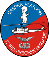 173rd Airborne Brigade Casper Platoon Decal