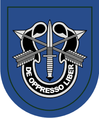19th Special Forces Group Decal