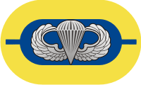 1st Battalion 504th Parachute Infantry Regiment Oval Decal