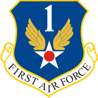 1st Air Force Decal