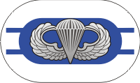 2nd Battalion 325th Airborne Infantry Regiment Oval with Jump Wings Decal