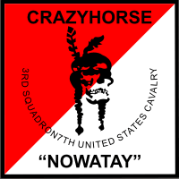 3-7 Cavalry Crazyhorse Decal