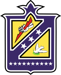 310th Bombardment Wing Decal