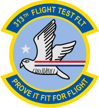 313th Flight Test Flight Decal