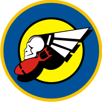 366th Bomb Squadron Decal