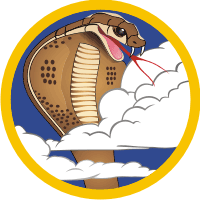 39th Fighter Squadron Decal