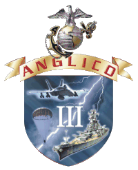 3rd ANGLICO Air Naval Gunfire Liaison Company Decal