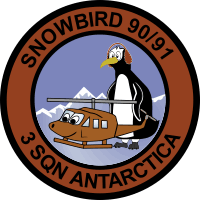 3rd Squadron Antarctica Kiwi 3 Squadron Decal