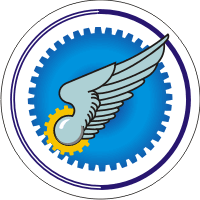 4000th Army Air Force Decal