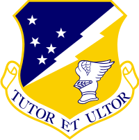 49th Fighter Wing Decal