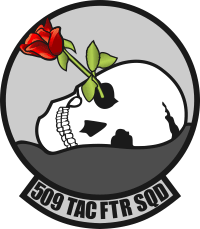 509th Tactical Fighter Squadron Decal