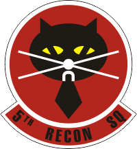 5th Reconnaissance Squadron Decal