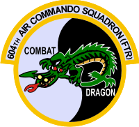 604th Air Commando Squadron Fighter Decal