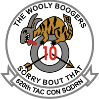 620th Tactical Control Squadron Decal