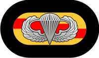 75th Ranger Oval with Jump Wings - 2 Decal