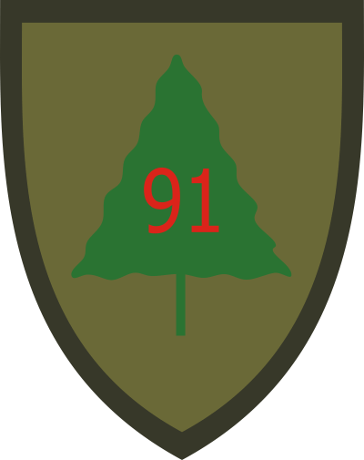 91st Division Training Decal