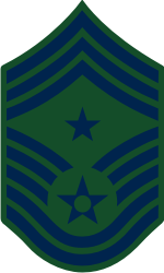 AF E-9 CCMSGT Command Chief Master Sergeant (BDU) Decal