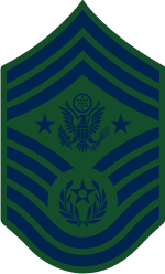 AF E-9 CMSAF Chief Master Sergeant of the Air Force (BDU) Decal