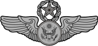 Air Force Chief Enlisted Aircrew Decal