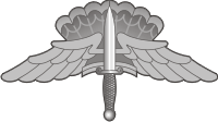 Military Freefall Parachutist (HALO-HAHO) Badge – Basic Decal