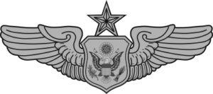Air Force Officer Aircrew Badge -Senior Decal