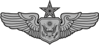 Air Force Officer Aircrew Badge -Senior Decal
