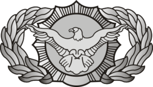Air Force Security Police Decal