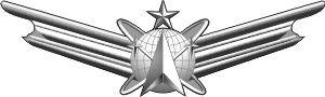 AF Senior Space and Missile Badge (2005) Decal