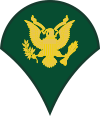 Army E-4 SPEC4 Specialist Decal