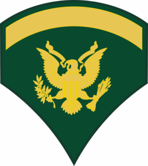 Army E-5 SPC5 Specialist Decal