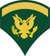 Army E-5 SPEC5 Specialist Decal
