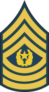 Army E-9 CSM Command Sergeant Major Blue Decal