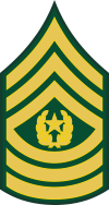Army E-9 CSM Command Sergeant Major Decal