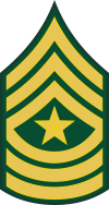 Army E-9 SGM Sergeant Major Decal
