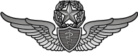 Army Flight Surgeon Master Decal