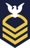 USCG E-7 CPO Chief Petty Officer (Gold on Blue) Decal