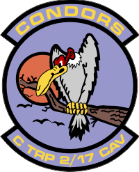 C Troop 2-17 Cavalry – Condors Decal