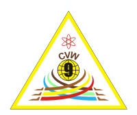 CVW-9 Carrier Air Wing Nine Decal