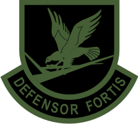 US Air Force Security Forces - Defensor Fortis Subdued Decal