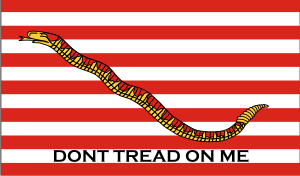 1st Navy Jack Don't Tread On Me Decal
