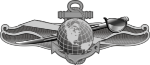 EIDWS Navy Enlisted Information Dominance Warfare Specialist Decal