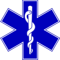 Emergency Medical Services Star Decal
