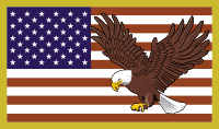 50 Star Flag with Eagle Decal