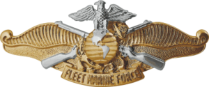 FMF Fleet Marine Force Warfare Badge Officer Decal