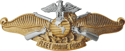 FMF Fleet Marine Force Warfare Badge Officer Decal