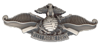 FMF Fleet Marine Force Warfare Badge Decal