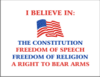 I Believe In The Constitution Decal
