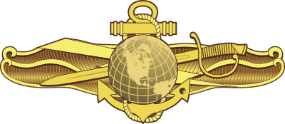 IDWO Navy Information Dominance Warfare Officer Decal